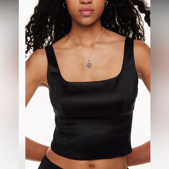 NWT Aritzia Corset top - Picture 1 of 7